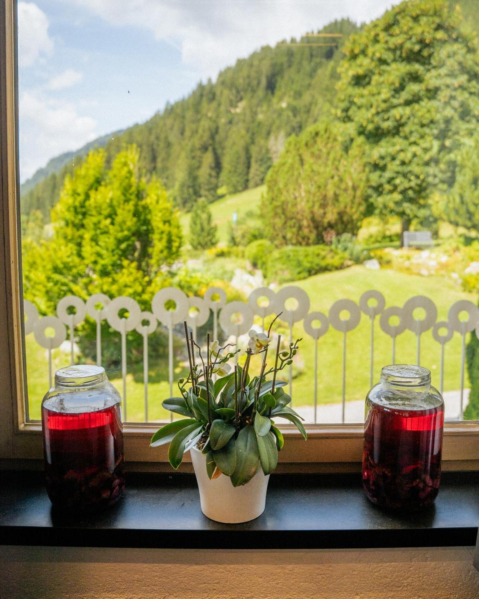 Aparthotel Pfeffermuehle Ramsau am Dachstein Eksteriør billede